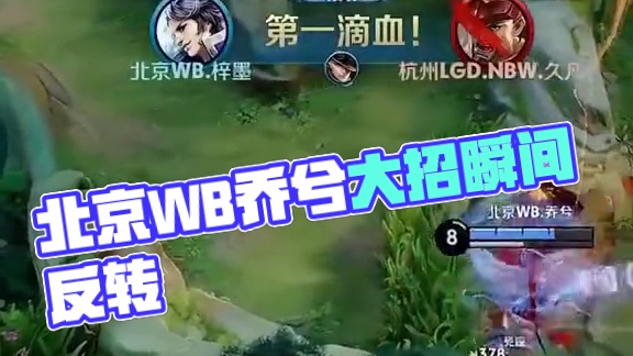 但球队整体 但球队整体
